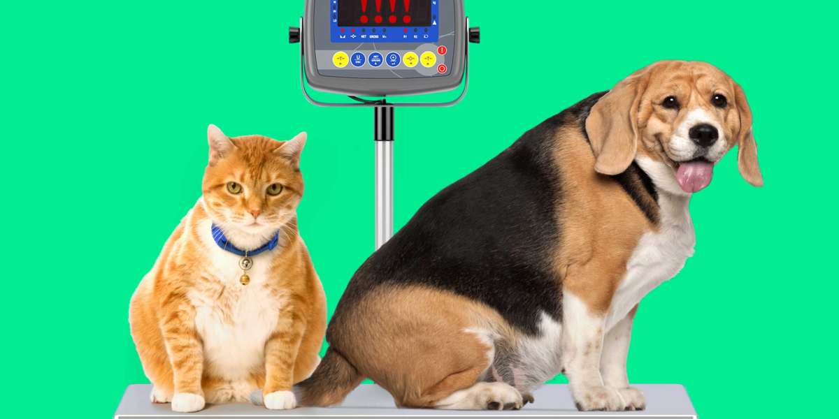 Royal Canin’s Veterinary Diets: Transforming the Pet Obesity Market