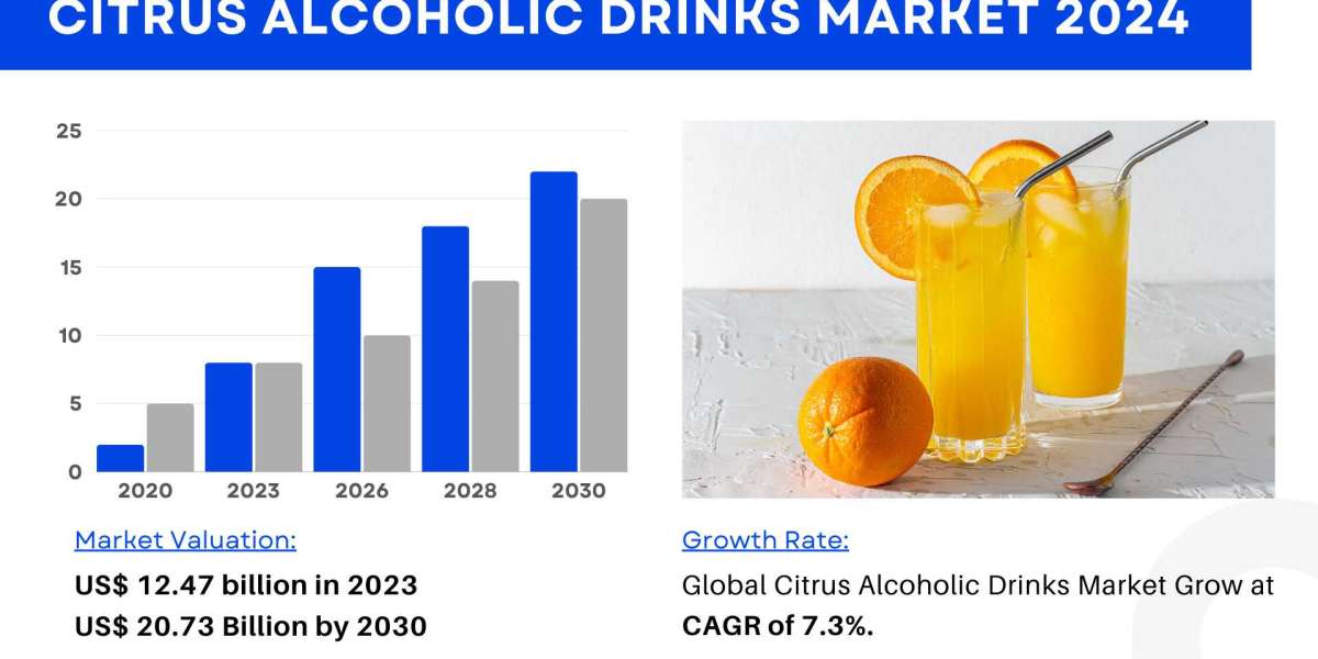 Citrus Alcoholic Drinks Market Size, Share 2024