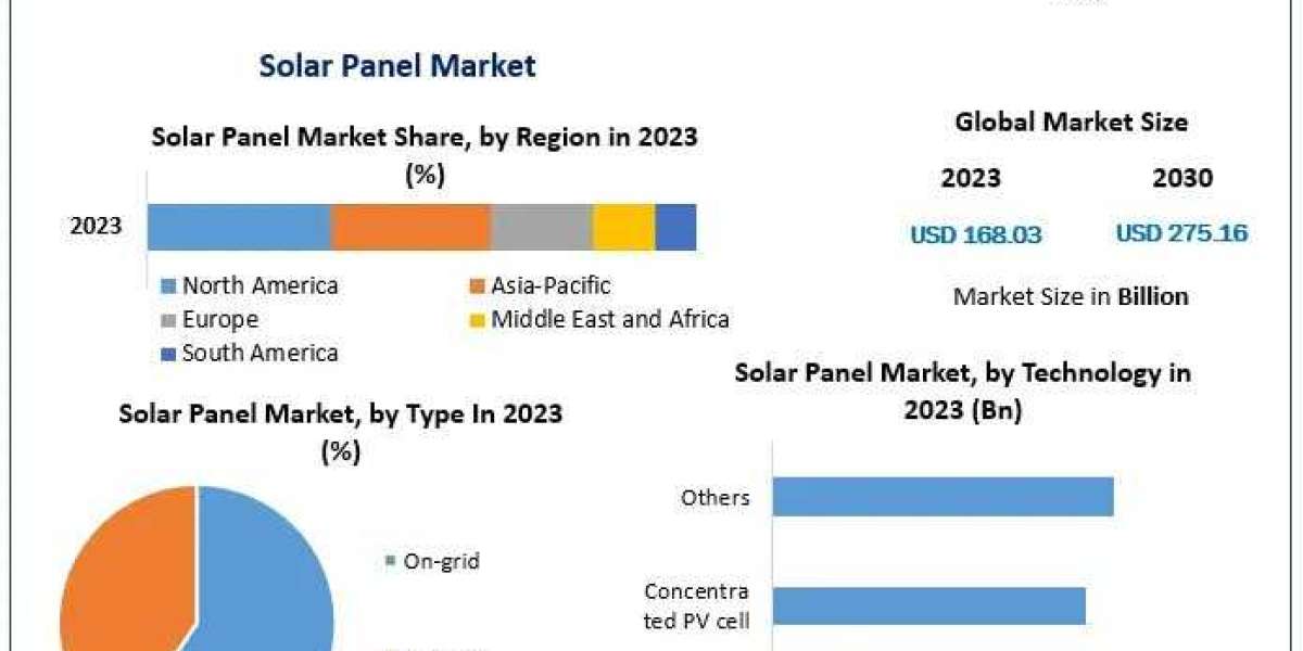 Renewable Energy Revolution: Trends in the Solar Panel Market for 2030
