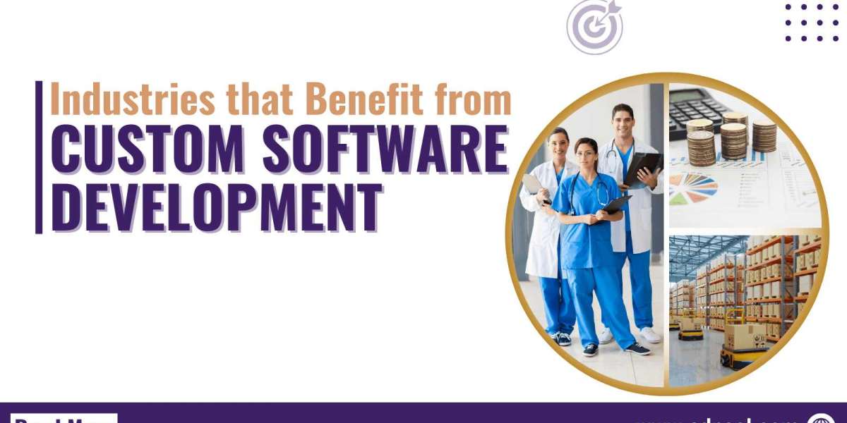 Industries that Benefit from Custom Software Development
