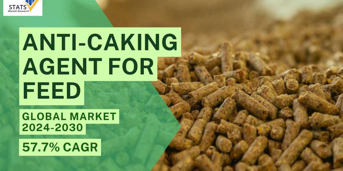 Anti-caking Agent for Feed Market Size, Share 2024