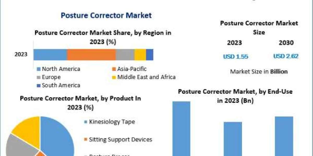 Posture Corrector Market Outlook and Forecast 2030