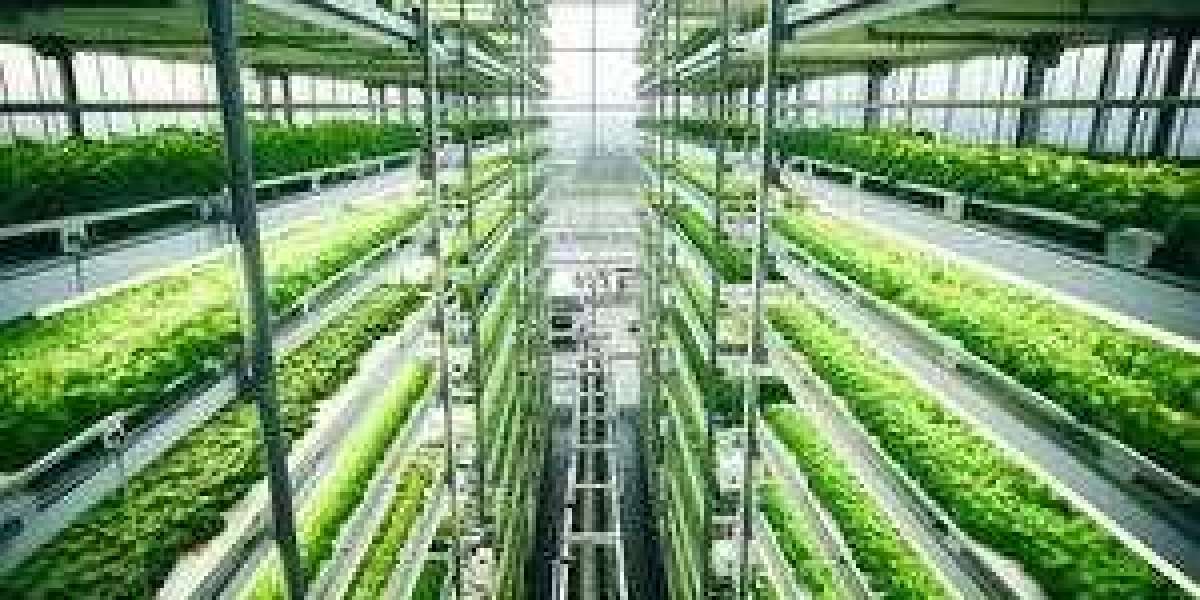 Vertical Farming Market to Develop New Trend and Growth Story