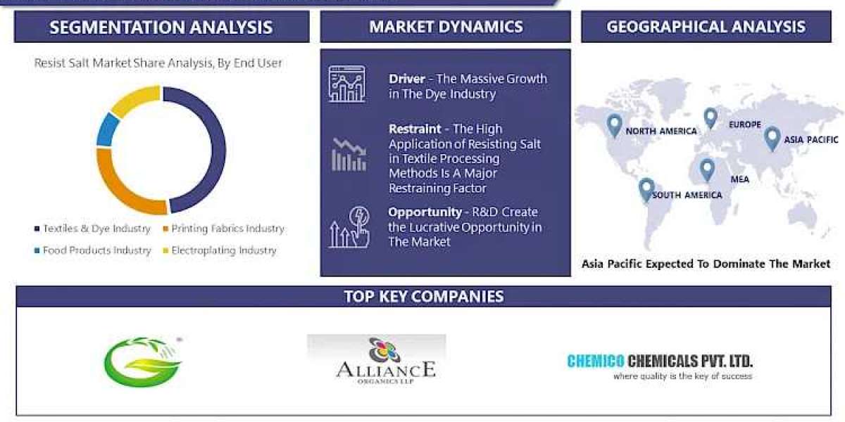 Resist Salt Market Understanding Market Trends for 2032: Size, Share, and Growth