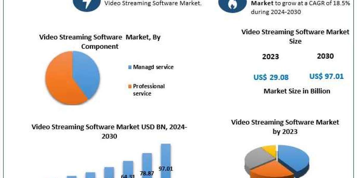 Video Streaming Software Market Statistical Snapshot: Unveiling Segmentation, Outlook, and Overview Trends | 2024-2030