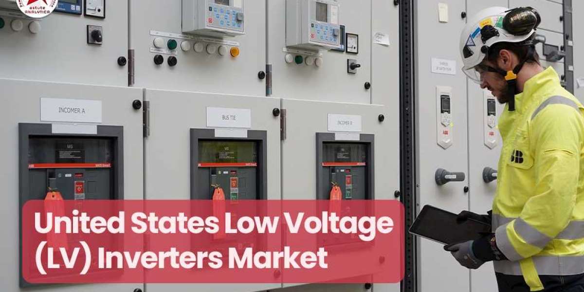 United States Low Voltage (LV) Inverters Market in Oil & Gas Industry Key Market Trends: Leaders and Growth 2023-203