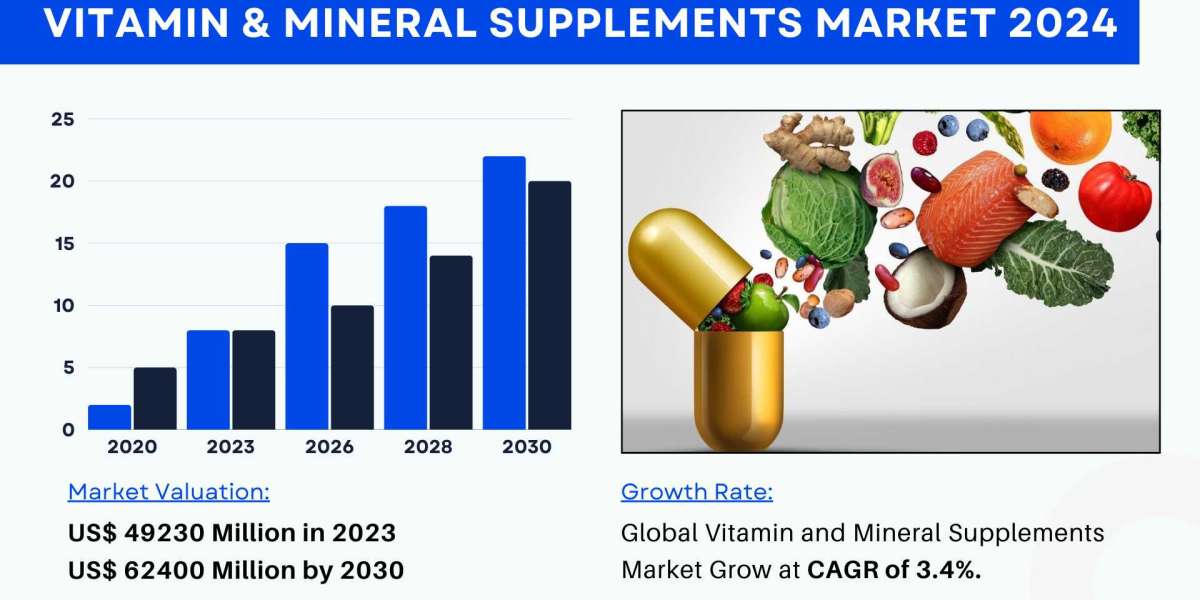 Vitamin and Mineral Supplements Market Size, Share 2024