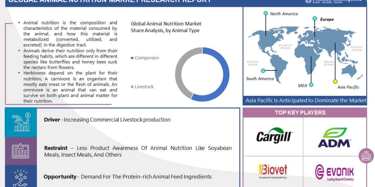 Animal Nutrition Market Outlook for Forecast Period (2023 to 2030)
