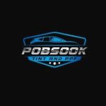 Pobsook Tint and PPF