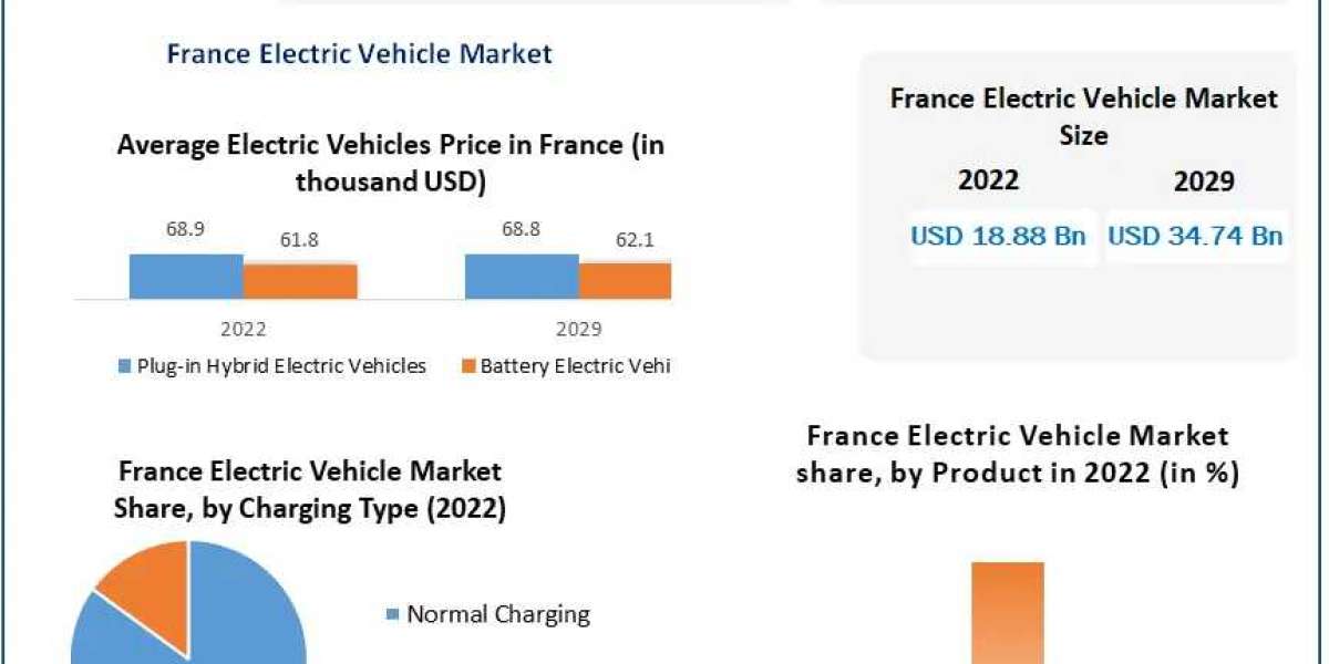 France Electric Vehicle Market Summary, Size, Principal Influences, and Future Directions | 2029