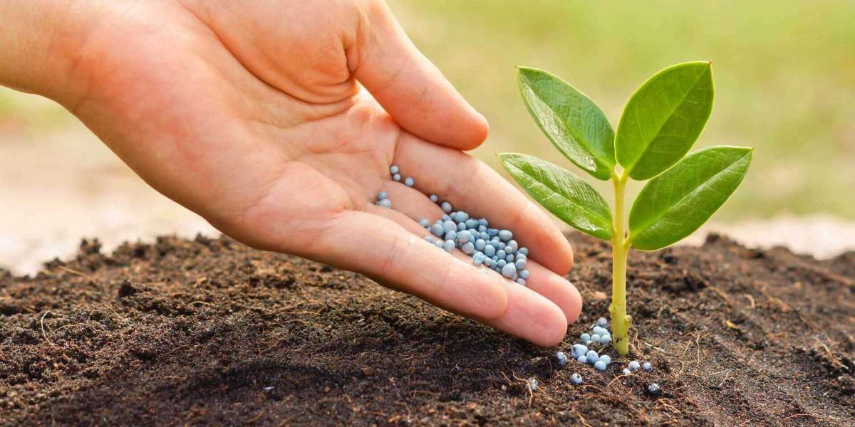 Asia and Oceania Turf Fertilizer Market Analysis, Size, Share, Growth, Trends, and Forecasts by 2031