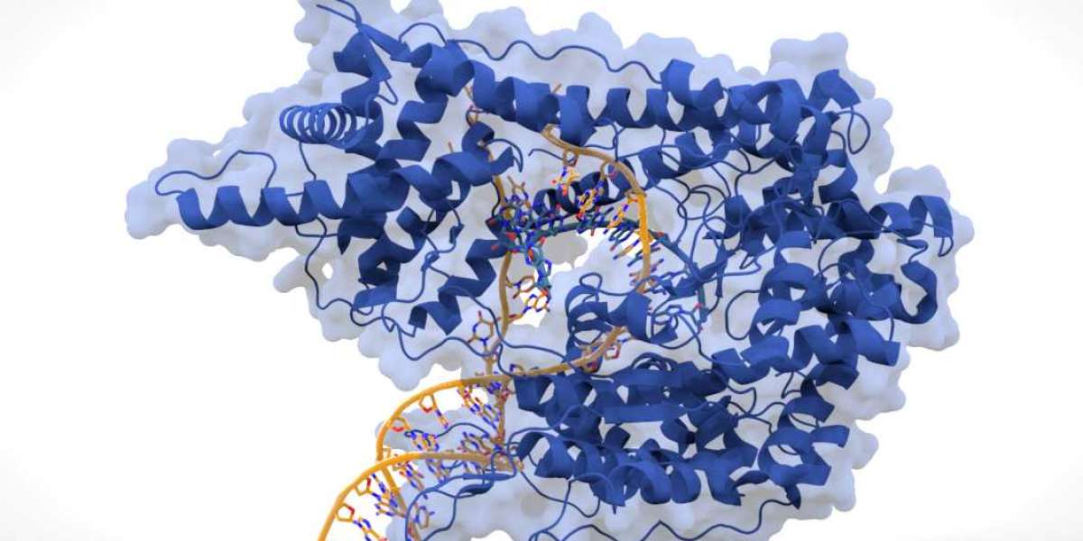 T7 RNA Polymerase Market Analysis, Size, Share, Growth, Trends, and Forecasts 2023-2030