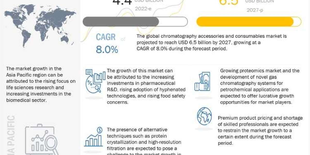 Market Dynamics of Chromatography Accessories and Consumables