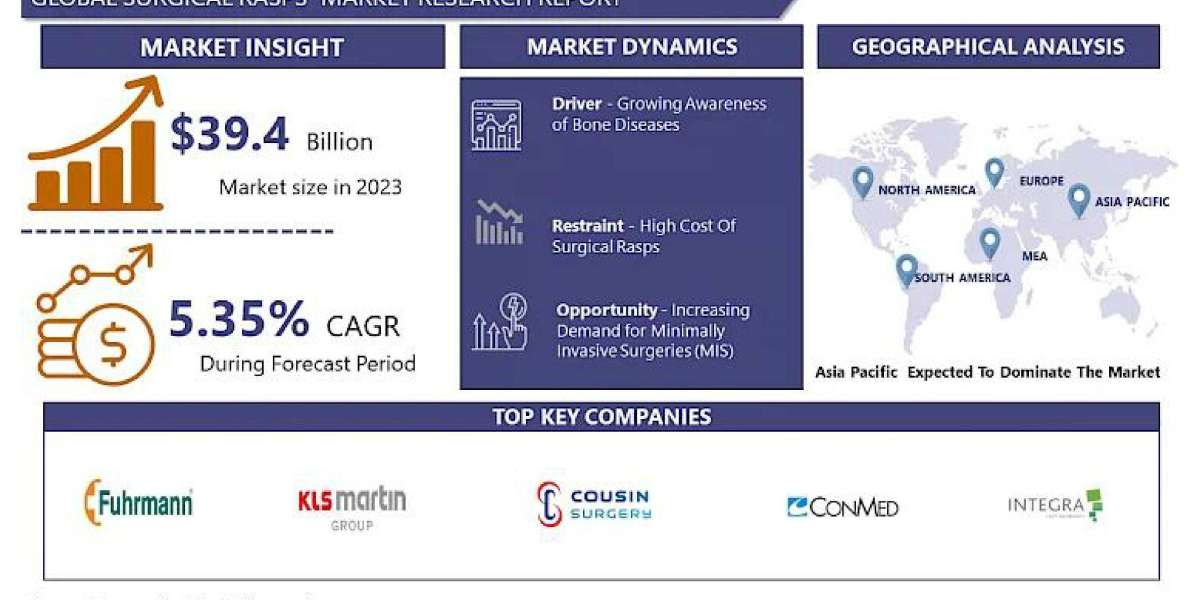 Surgical Rasps Market Report: Industry Analysis and Growth Prospects By 2024