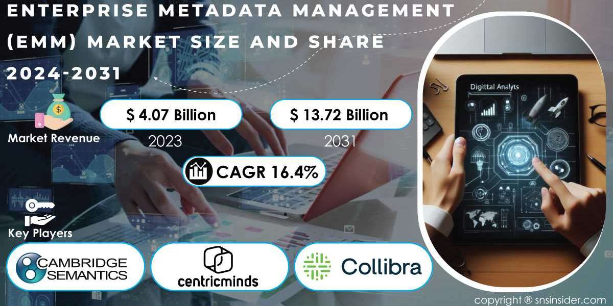 Enterprise Metadata Management Market Research | Exploring Future Opportunities