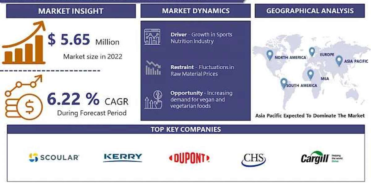 Plant Protein Ingredients Market: Rapidly Growing, Poised to Disrupt Traditional Meat and Dairy Industry By 2032 | IMR