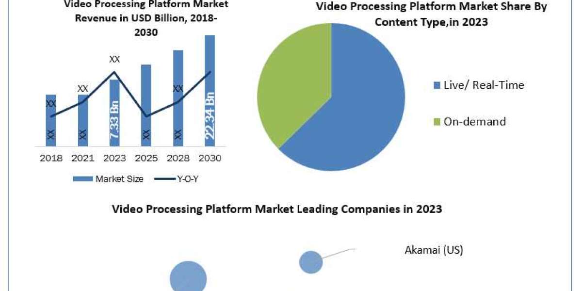 Global Video Processing Platform Market Forecast 2024-2030: Industry Growth Supported by Increasing Adoption of Remote W