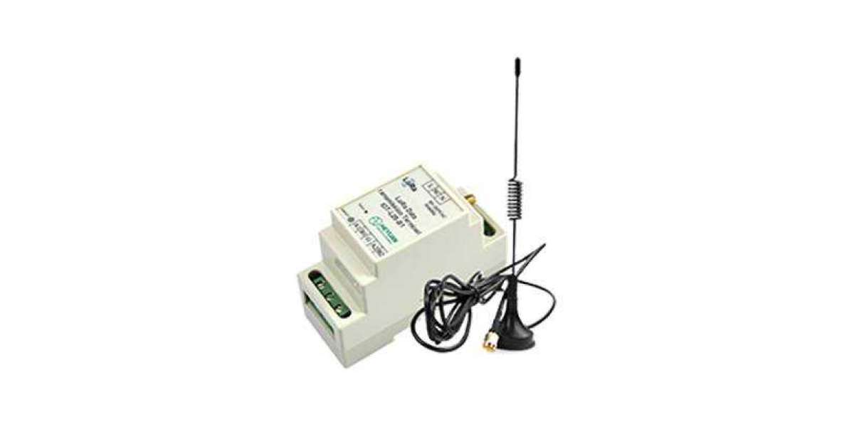 LoRa Data Transmission Terminal Market Size, Future Trends and Innovation Report 2033