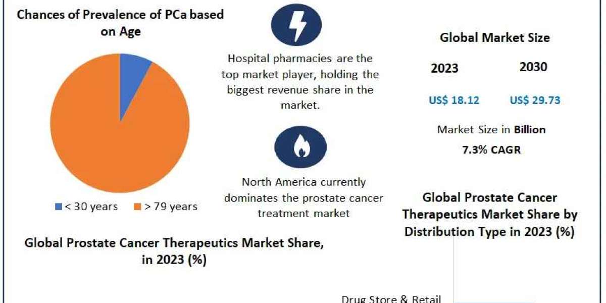 ​​​Prostate Cancer Therapeutics Market Segmentation, Trends, Regional Outlook and Forecast to 2030