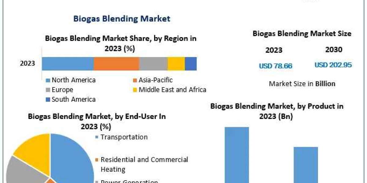 Biogas Blending Market Applications and Industry Strategies