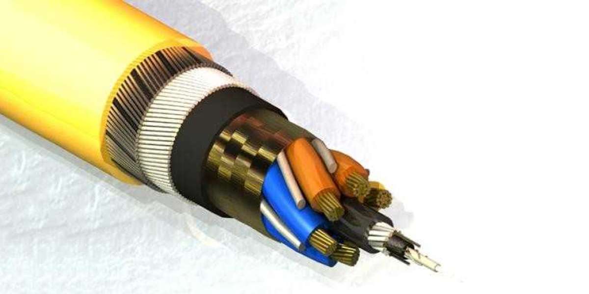 Ceramified Cable Market Overview 2031: Strong Growth Path Ahead