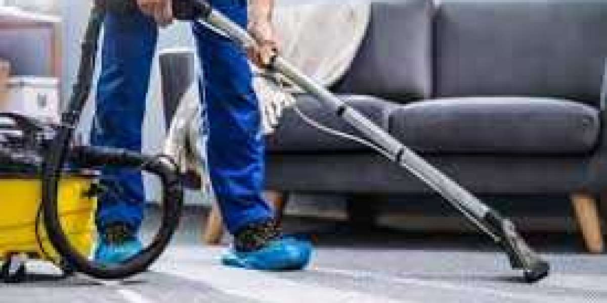 Transform Your Home with the Benefits of Professional Carpet Cleaning