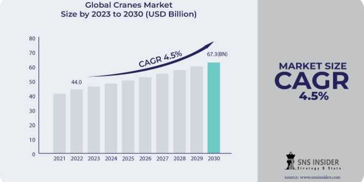 Cranes  Market : A Deep Dive into the Industry's Key Applications and Technologies