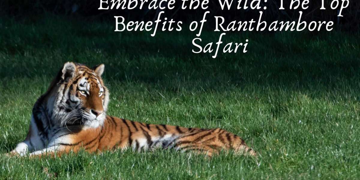 Embrace the Wild: The Top Benefits of Ranthambore Safari