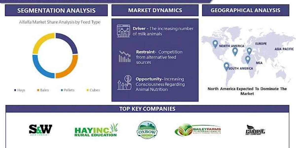 Alfalfa Market: Revenue & Gross Margin, Opportunities, Challenges and Risks Analysis Report By 2032 | IMR