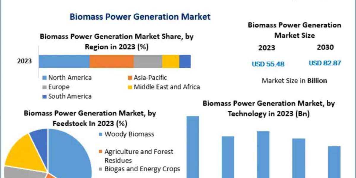 Biomass Power Generation Market Analysis of Key Trend, Industry Dynamics and Future Growth 2030