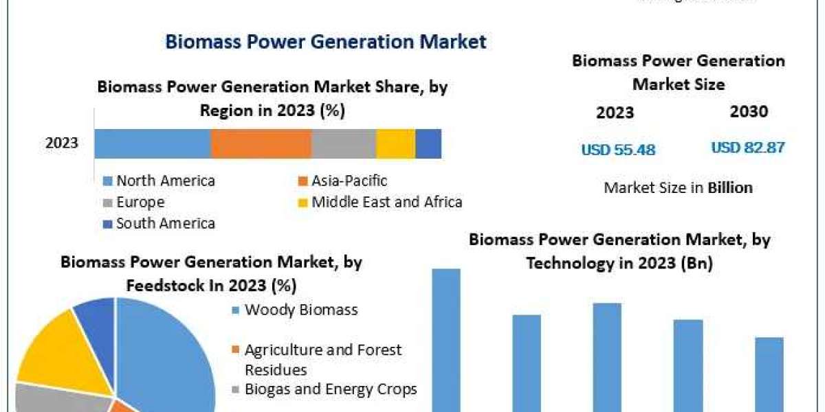 ​Biomass Power Generation Market Growth Opportunities, Market Shares, Future Estimations and Key Countries by 2030