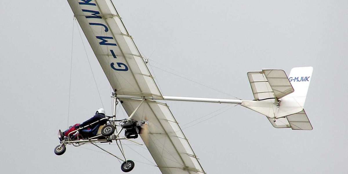 Ultralight and Light Aircraft Market Size & Share, Global Trends, Statistics, Industry Forecast by 2023-2030