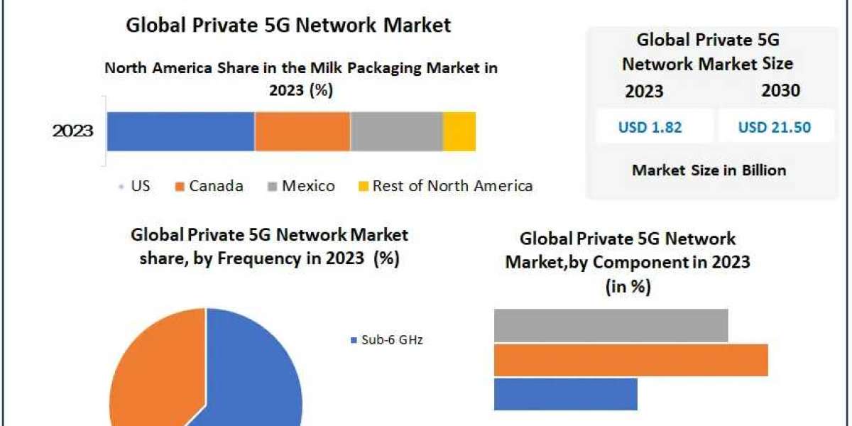 Private 5G Network Market Share and Trends 2030