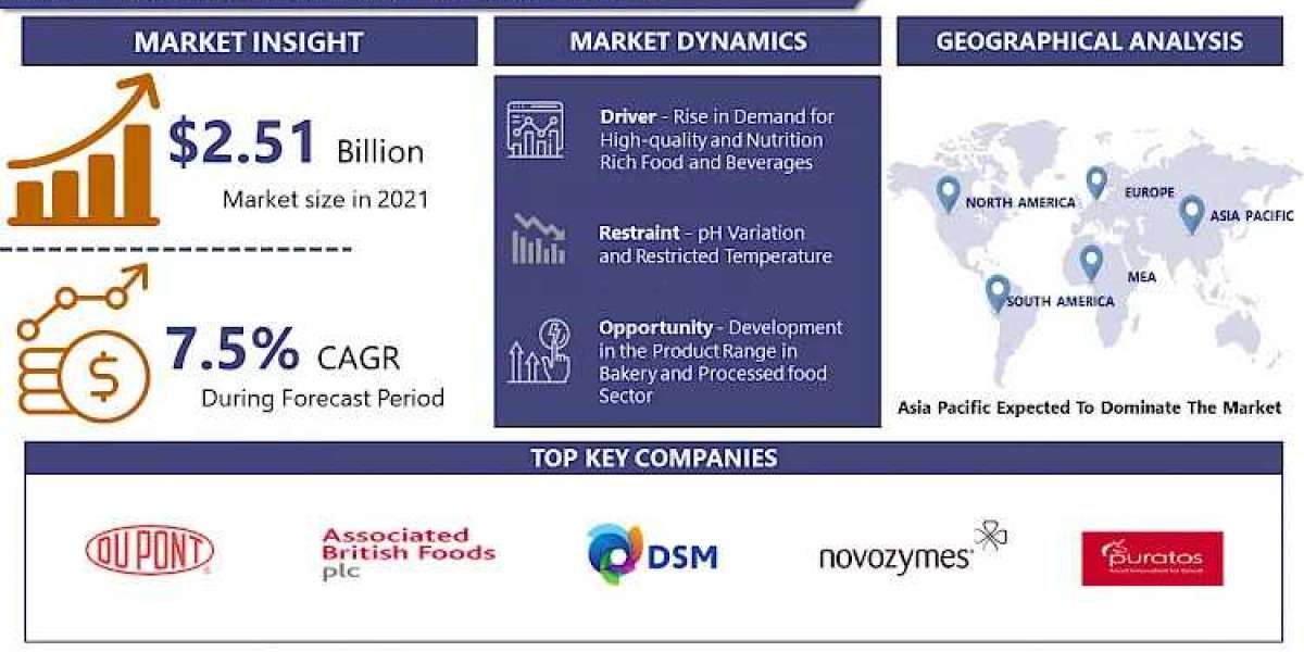 Food Enzymes Market Dynamics: Size, Share, and Growth Projections