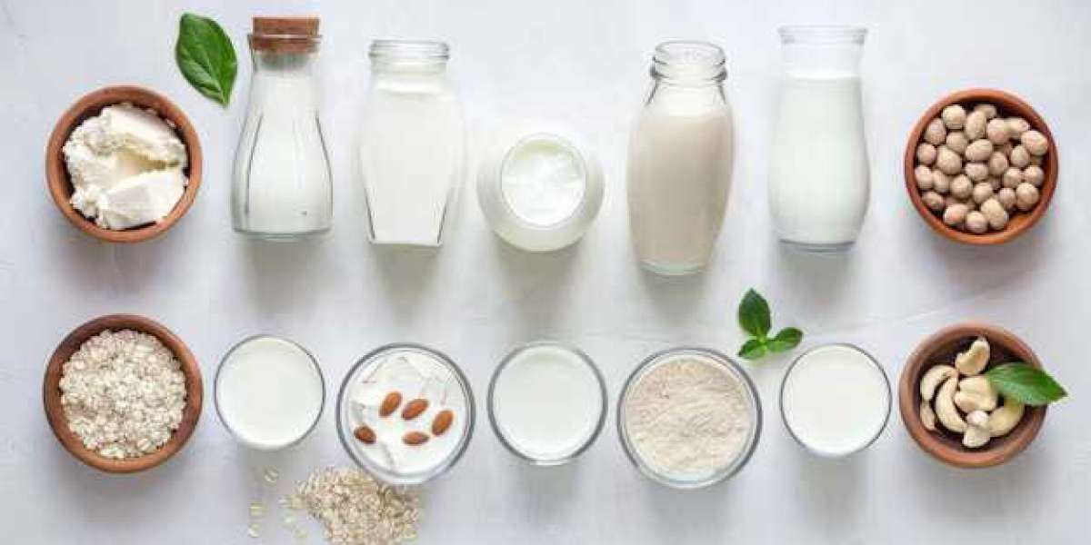 Discover 5 Top Startups developing Dairy Alternatives