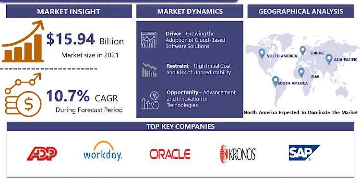 Navigating the HRM Software Landscape: Trends and Insights