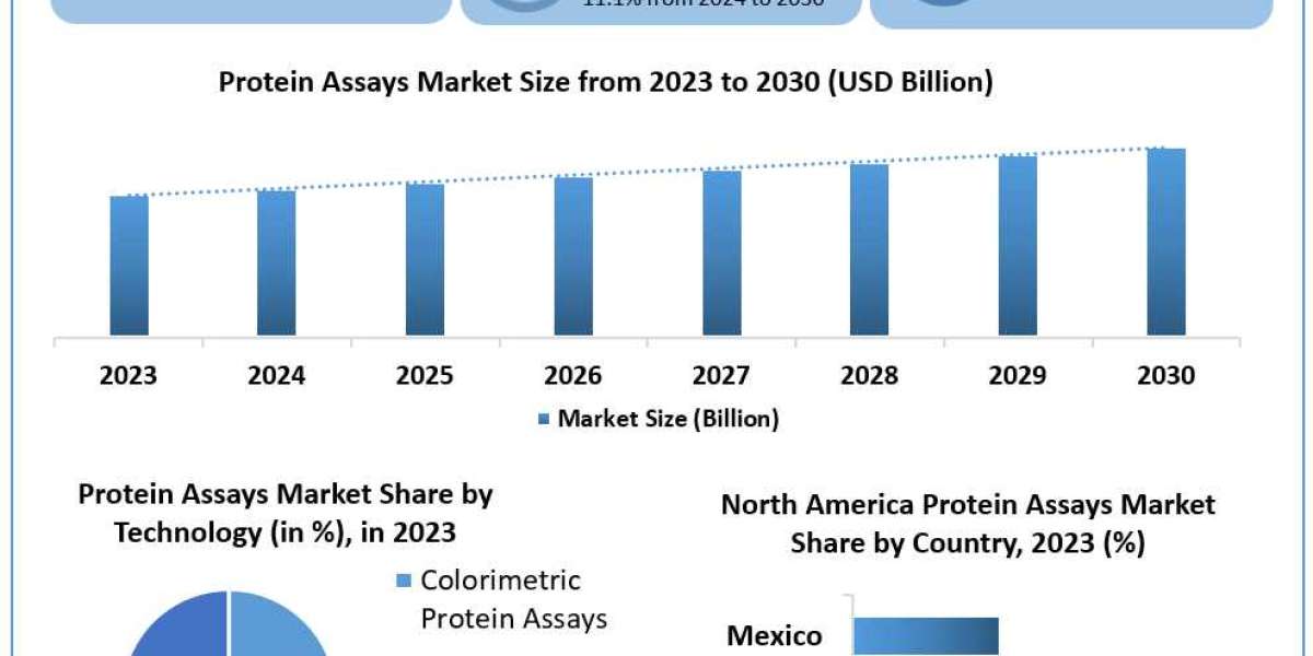 Protein Assays Market Statistical Spectrum: Exploring Segmentation, Outlook, and Market Trends | 2024-2030