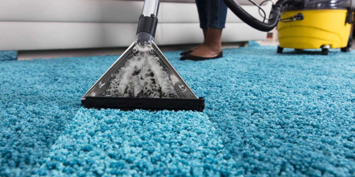 Professional Carpet Cleaning: A Key to Enhanced Home Comfort