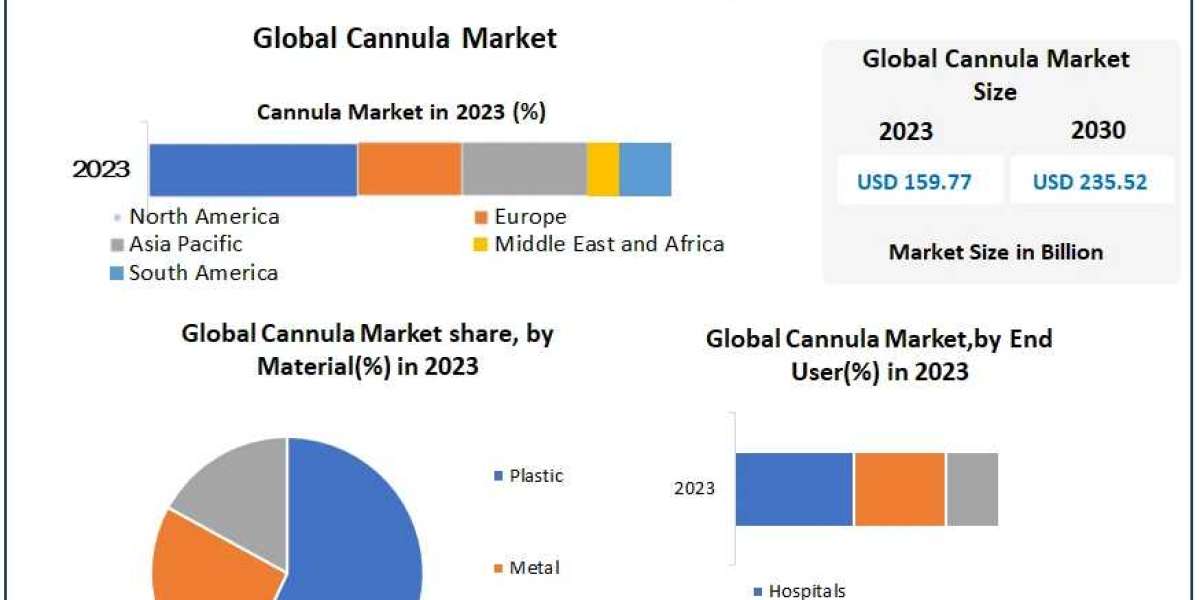 Cannula Market Industry Summary, Magnitude, Influencing Factors, and Long-Term Trends