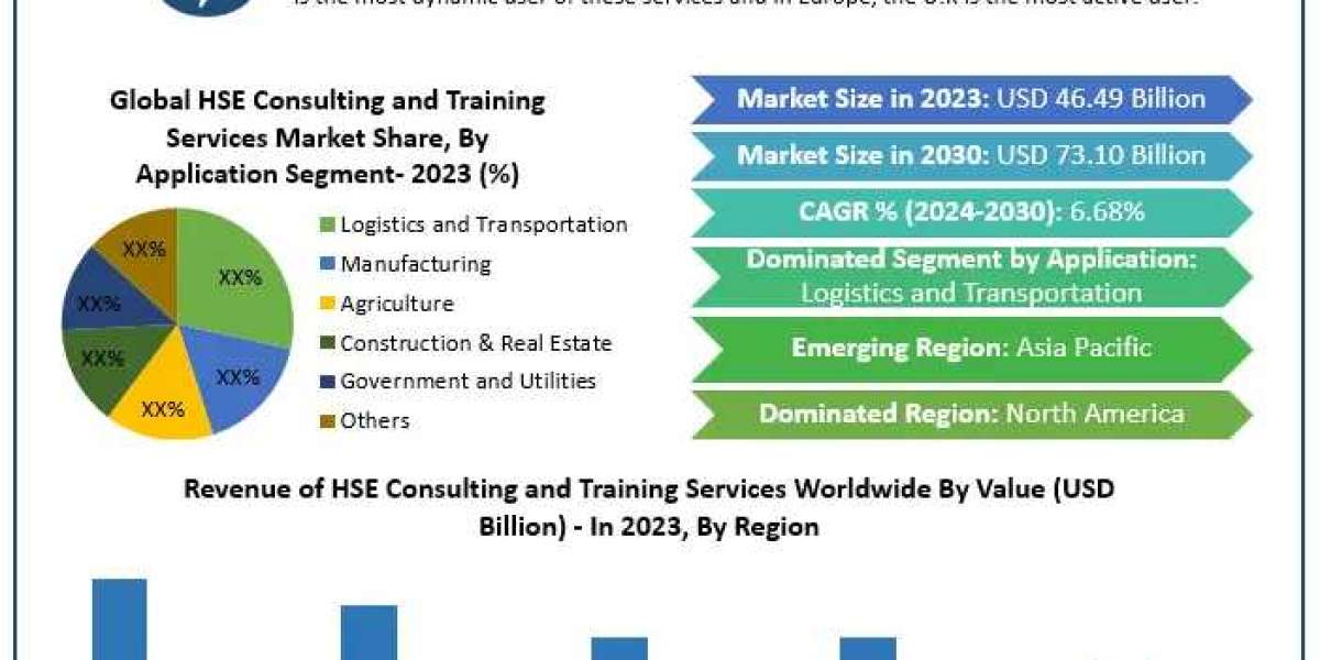 Global HSE Consulting and Training Services Market I Analysis by Size, Growth 2030