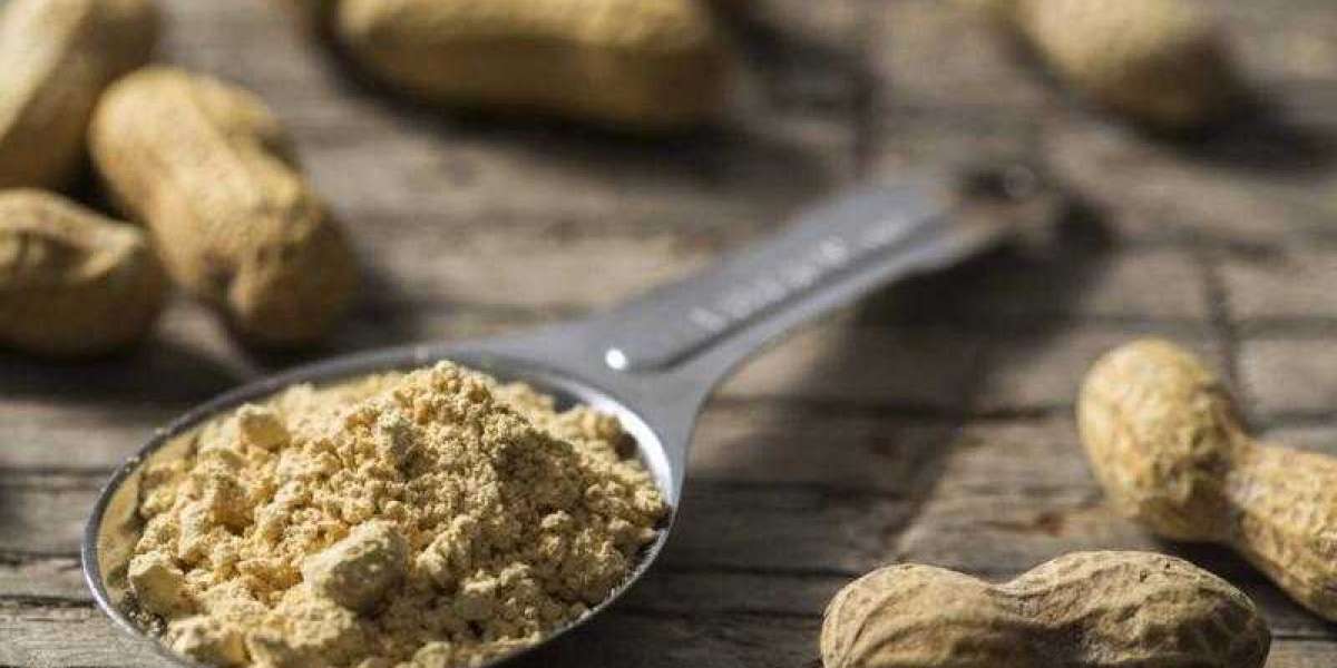 ✍Drinkable Peanut Powder Market Size, Share, And Forecast To 2032