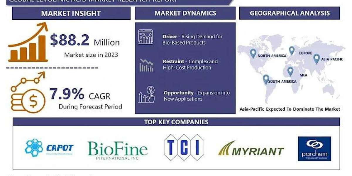 Exploring the Growth Drivers of the Levulinic Acid Market in 2024