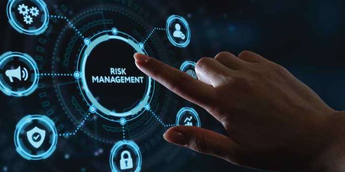 Key Players and Strategies in the Booming Digital Risk Management Market