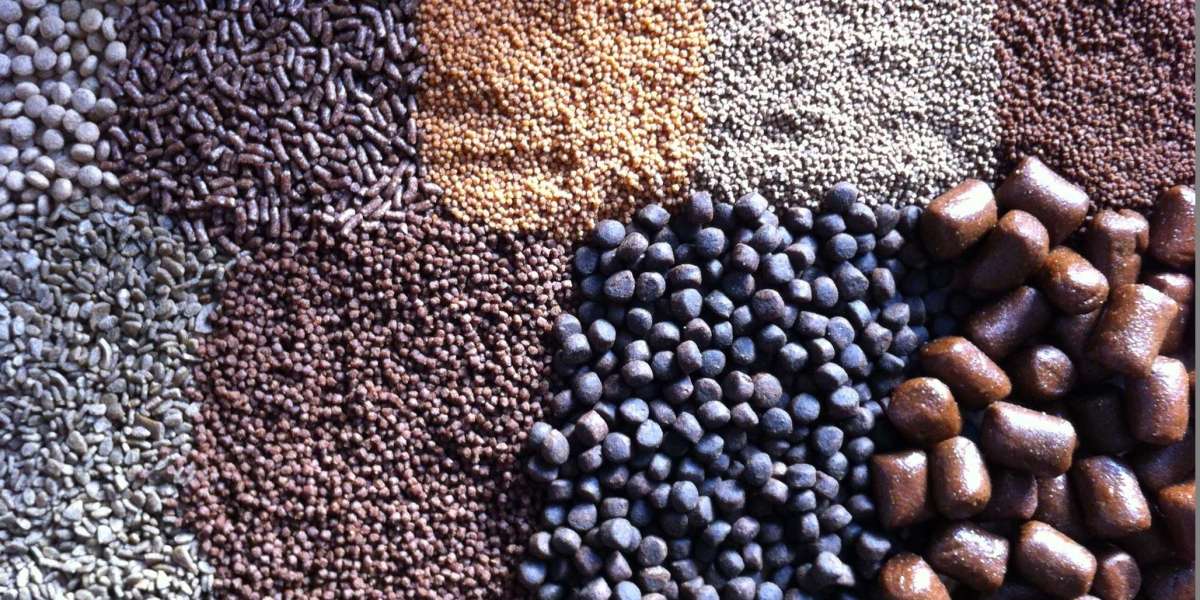 Aquafeed Additives Market Evolution: Sustainability Trends and Industry Innovations