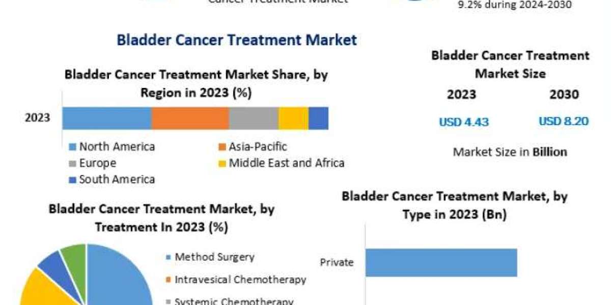 Bladder Cancer Treatment Market Business Strategies, Revenue and Growth Rate Upto 2030