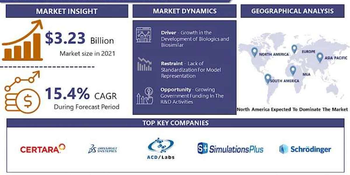 Biosimulation Market Opportunities, Growth and Forecasting