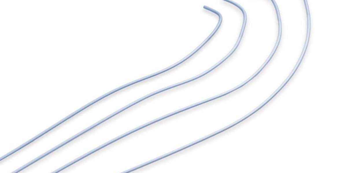 Global Diagnostic Catheters Market: Trends, Growth, and Future Projections