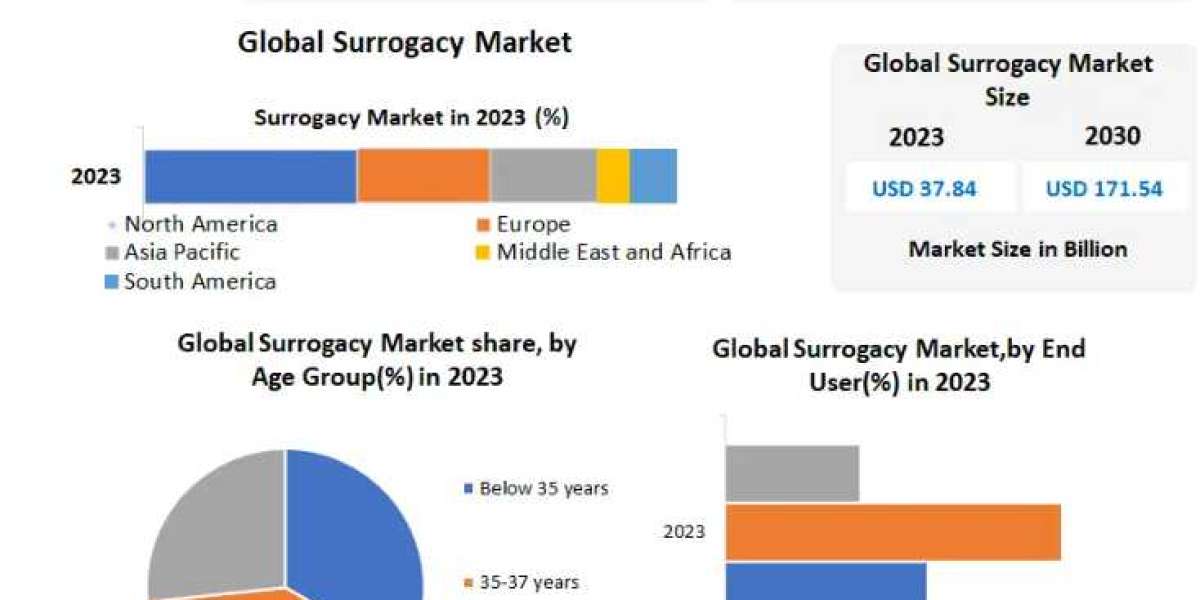 Surrogacy Market Industry Outlook, Size, Growth Factors, and Forecast To 2030