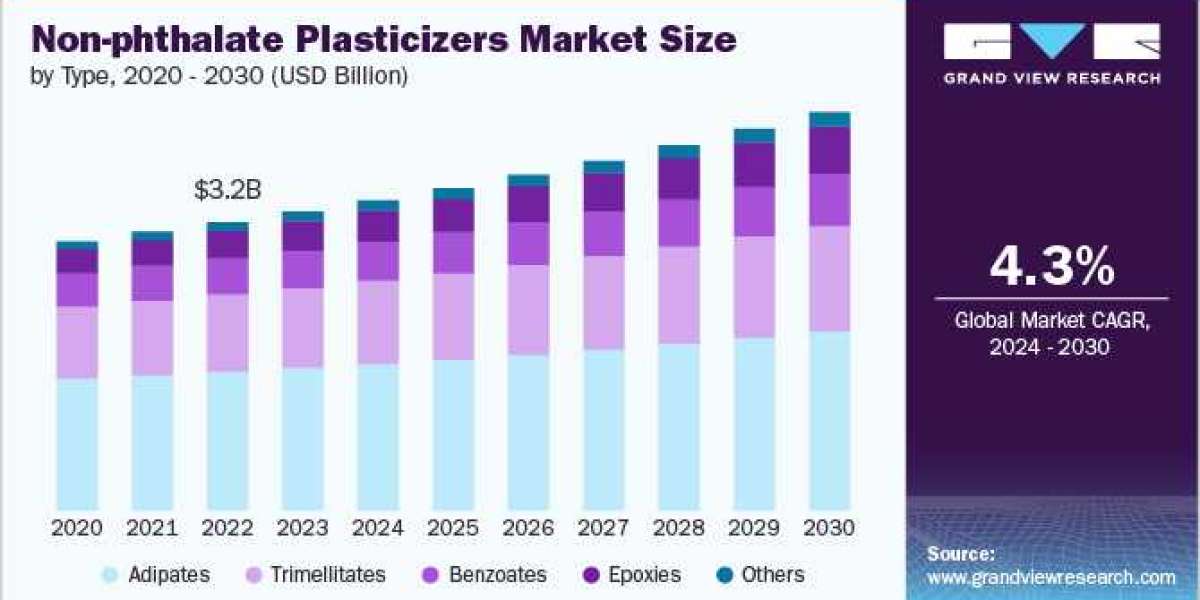 Non-phthalate Plasticizers Market: Future Outlook and Key Developments