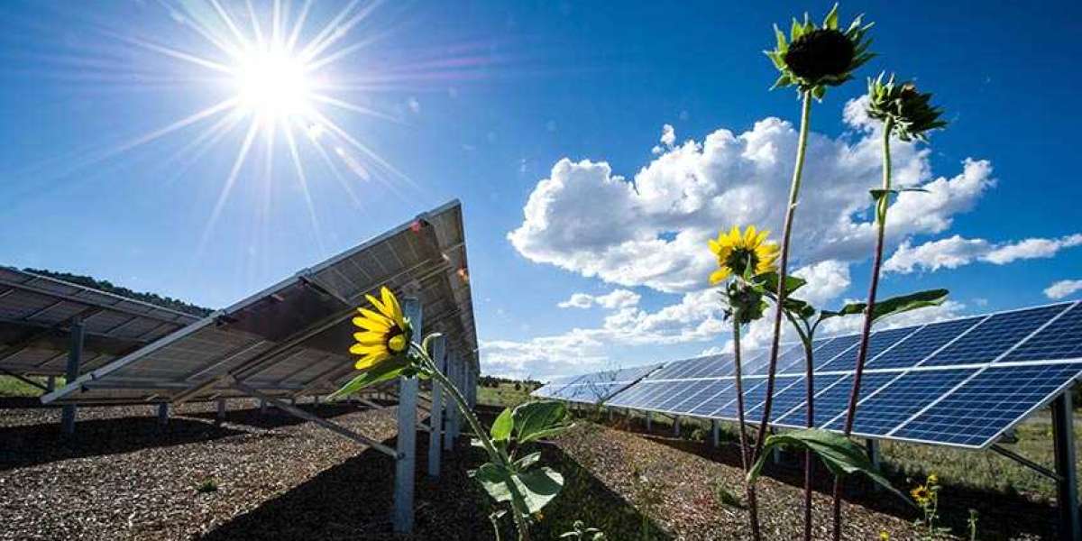 Global Photovoltaic Market: Trends, Growth Drivers, and Future Outlook